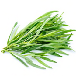 Tarragon 50 gr