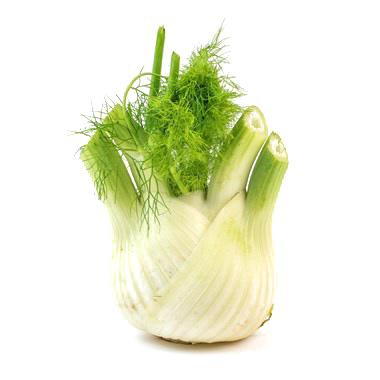 Fennel Local 500 gr