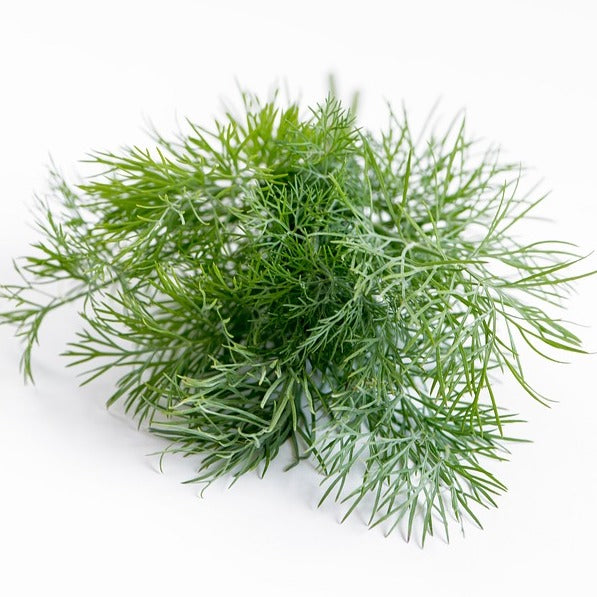 Dill 50 gr