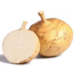 Jicama 1kg