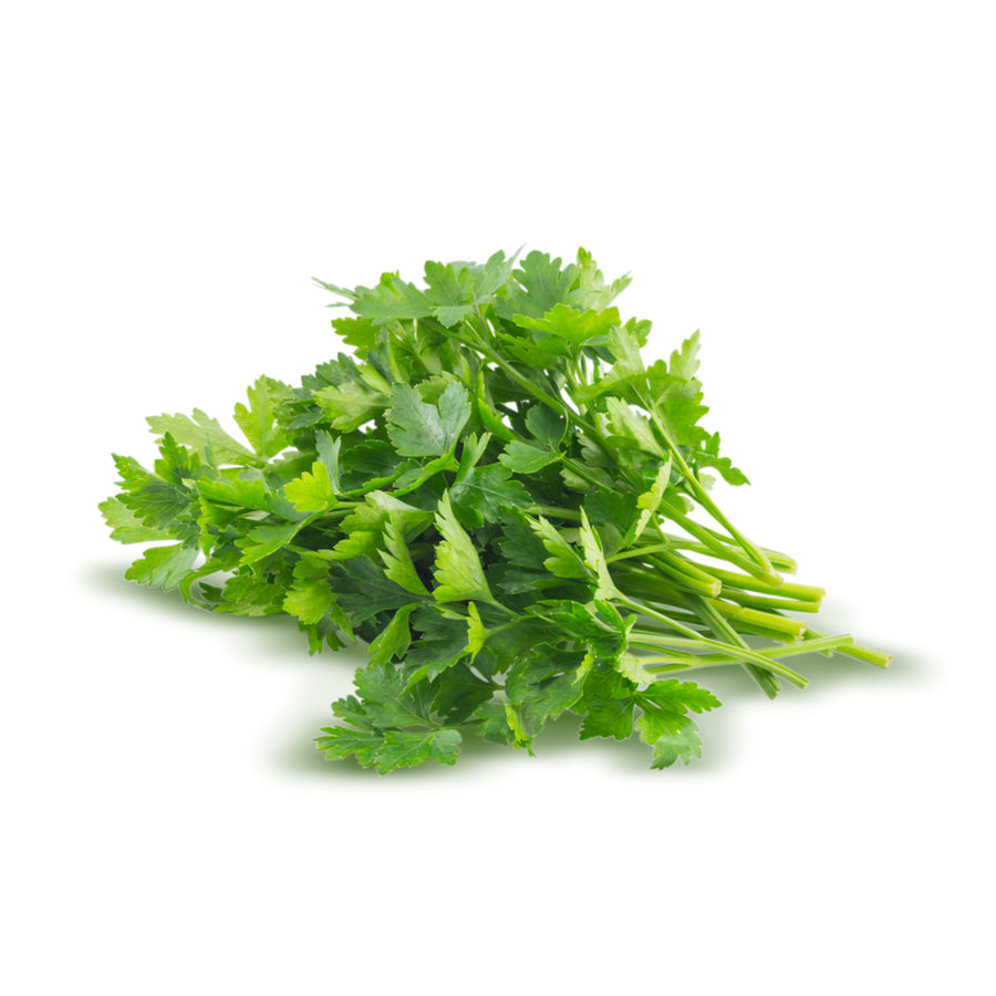 Coriander 50 gr