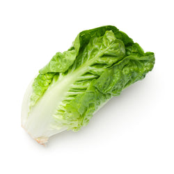 Lettuce Romaine 500 gr